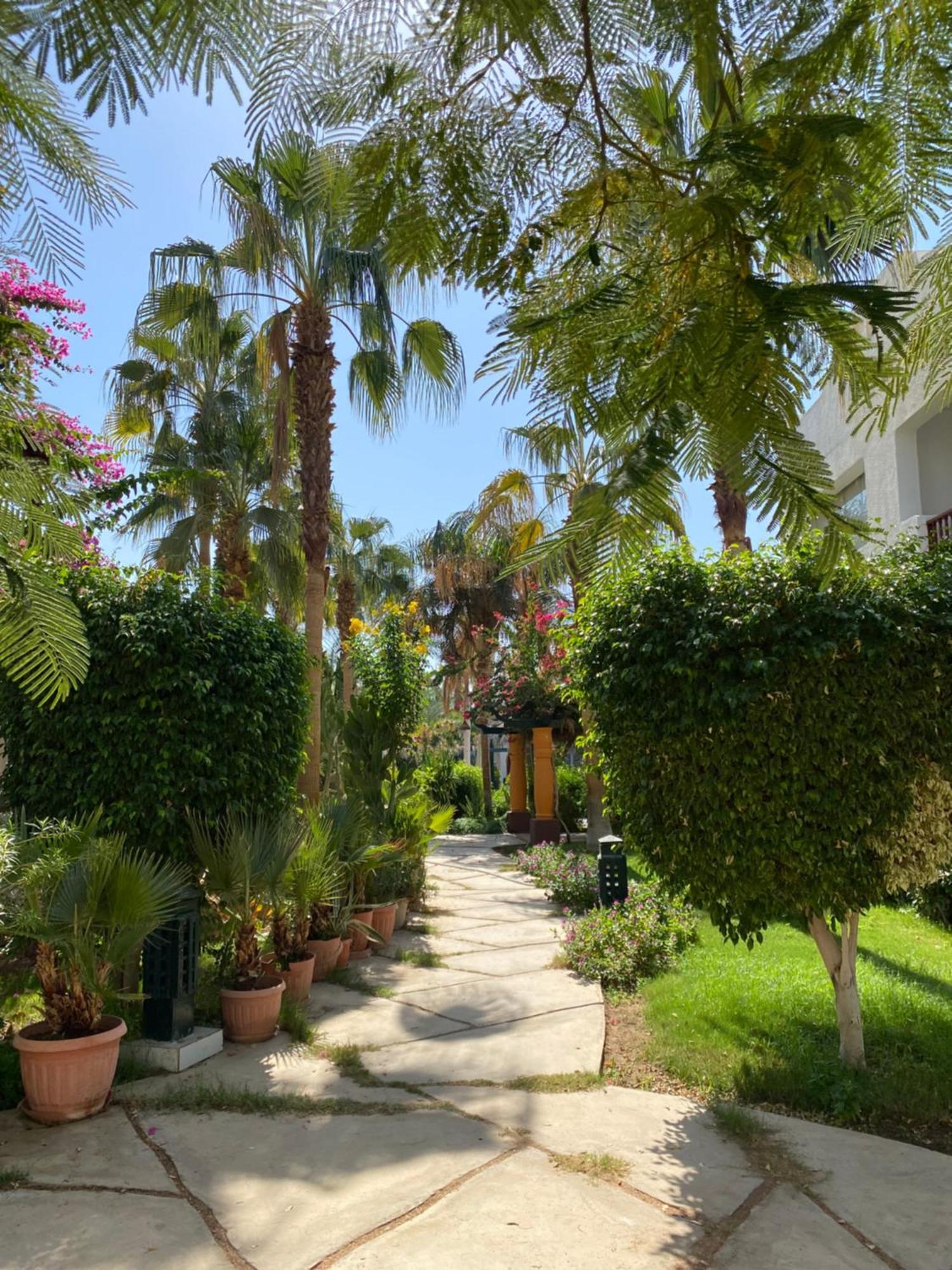 Delta Sharm Apartment Exterior foto